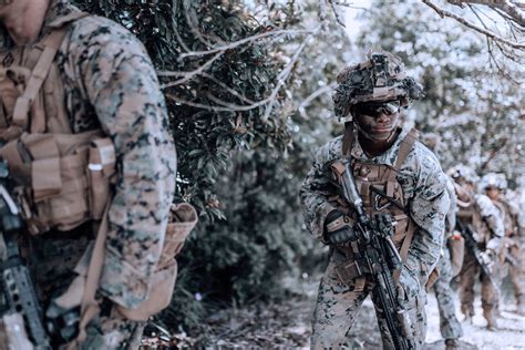 MCTIMS is the Marine Corps Training Information Management System, a web-based platform that allows Marines to manage their training records, certifications, and career progression. . Marine corps mol